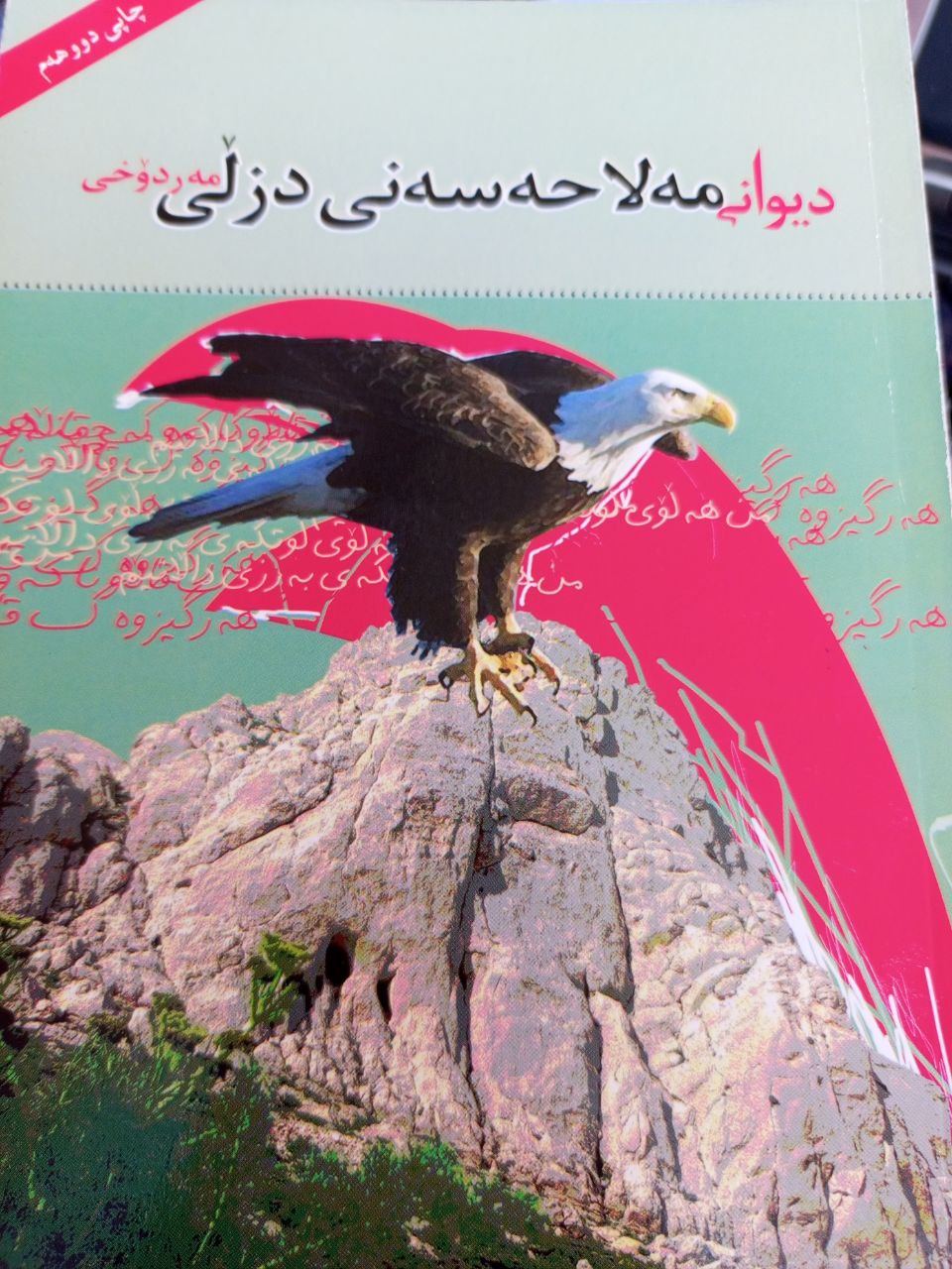 مەلا حەسەنی دزڵی